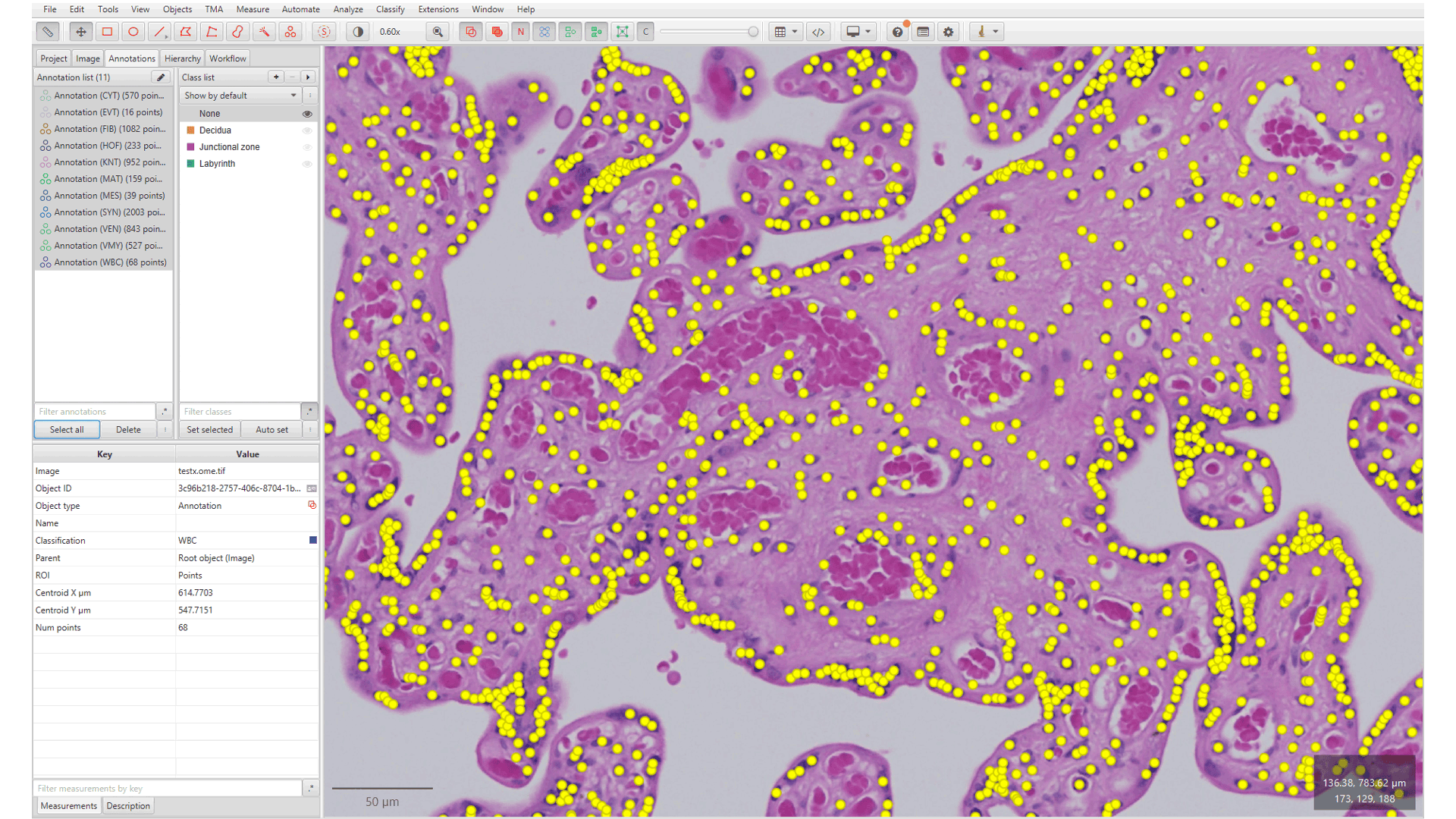 Example model results