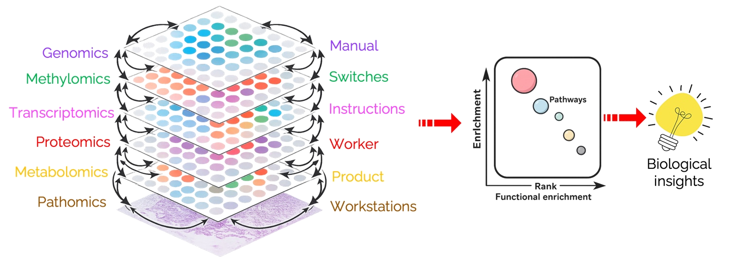 Schematic showing integration of genomics, methylomics, transcriptomics, proteomics, metabolomics, and tissue-level image analysis to generate biological insights